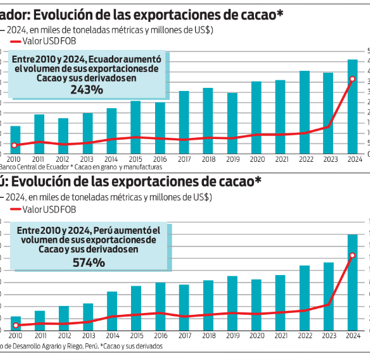 20. El cacao necesita un “cariñito”